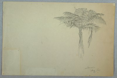 Farnbaumstudie, Jamaika von Frederic Edwin Church