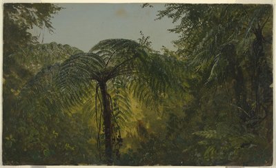 Dschungelvegetation, Jamaika von Frederic Edwin Church