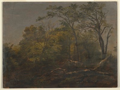 Maine-Wälder von Frederic Edwin Church