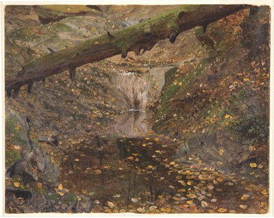 Waldbach, möglicherweise Mt. Desert, Maine von Frederic Edwin Church
