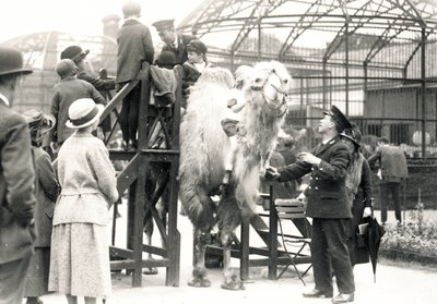 Kamelreiten mit Wärter H. Warwick von Frederick William Bond