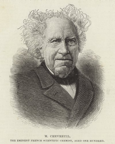 Michel Eugène Chevreul von French School