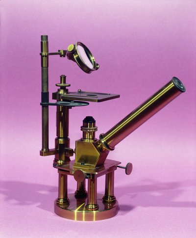 Mikroskop von Louis Pasteur (1811-95) (Metall) von French School