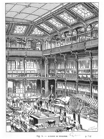 Naturkundemuseum in Paris von French School