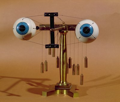Ophthalmologisches Lehrgerät (Metall) von French School