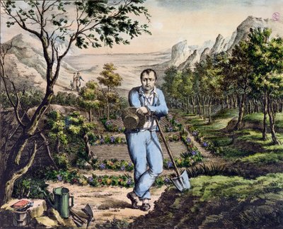 Der Gärtner von St. Helena von French School