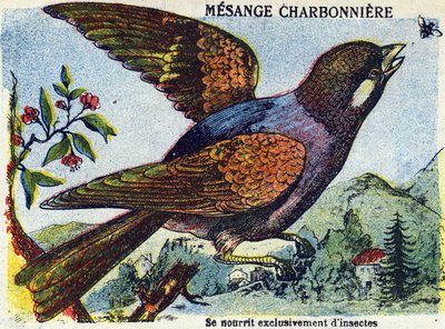 Unbekanntes Bild von French School