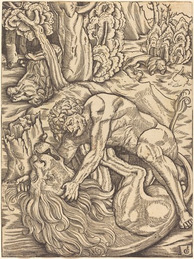 Herkules und der nemeische Löwe von Gabriel Salmon
