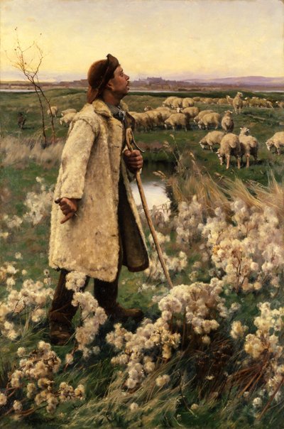 Schäfer, 1884 von Gaines Ruger Donoho