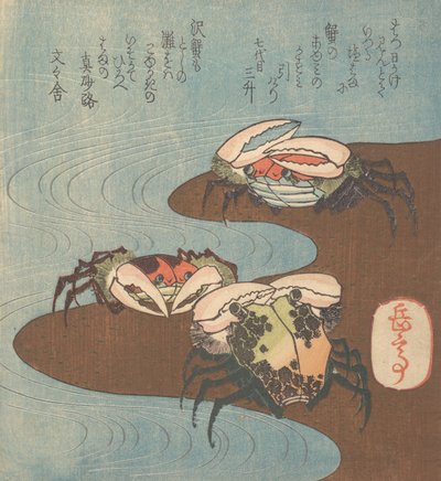 Krabben am Wasserrand von Gakutei
