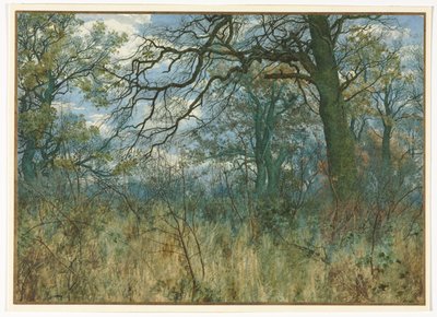 Bäume und Unterholz von Garden William Fraser