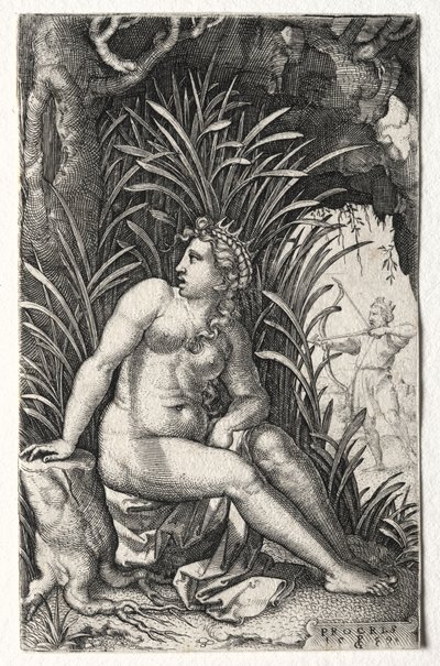 Prokris von Georg Pencz