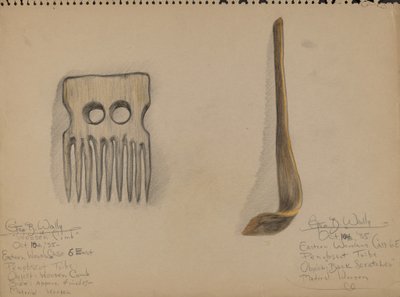 Kamm und Rückenkratzer von George B. Wally