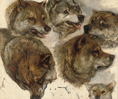 Studien von Husky-Köpfen von George Bouverie Goddard