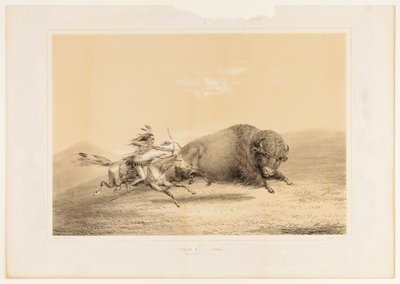 Büffeljagd, Verfolgung--Nr. 5 von George Catlin