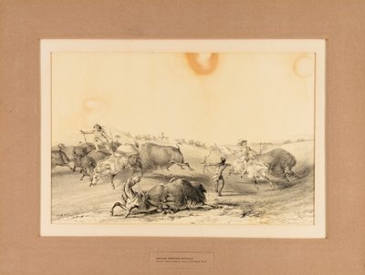 Indianer jagen Büffel--Nr. 7 von George Catlin