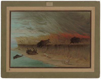 Brennende Präriewiesen von George Catlin