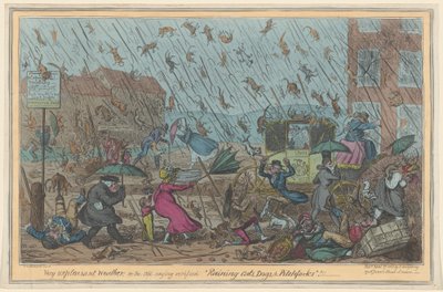 Sehr unangenehmes Wetter von George Cruikshank