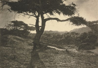 Camera Work: Der lange Arm von George Davison