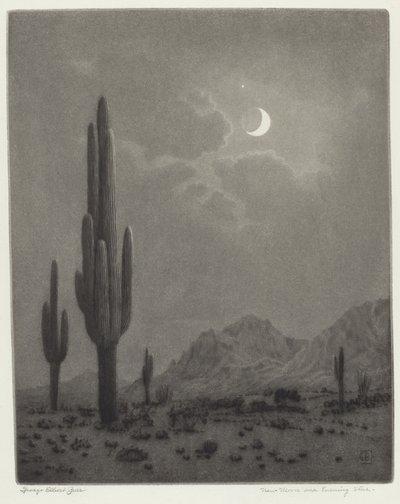 Neumond und Abendstern von George Elbert Burr
