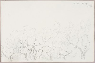 Oliven--Fiesole von George Elbert Burr