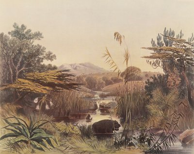 Der Umnonoti-Fluss bei Sonnenuntergang von George French Angas
