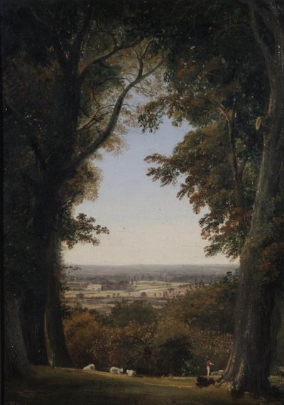 Ferner Blick auf Twickenham, Middlesex von George Hilditch