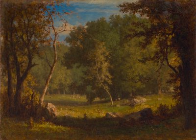 Elf Ground von George Inness