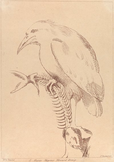 Ohne Titel: Vogel hält Fischskelett von George Knapton
