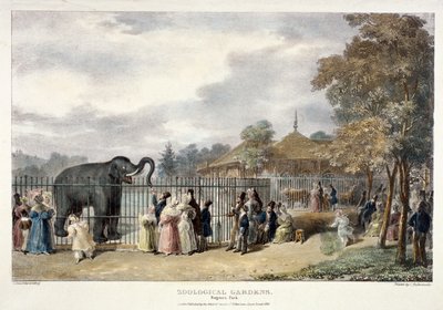 Zoologische Gärten, Regent