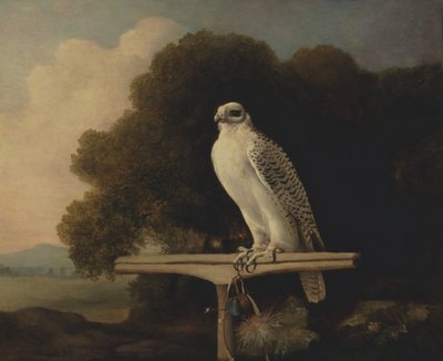 Grönlandfalke, Gyrfalke von George Stubbs