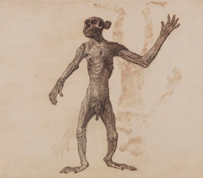 Affe im Stehen, Vorderansicht von George Stubbs