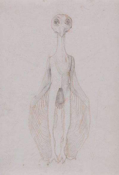 Eule stehend, Vorderansicht von George Stubbs