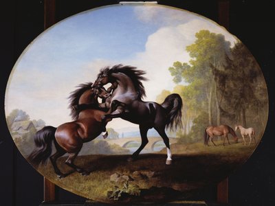 Kämpfende Hengste, 1781 von George Stubbs