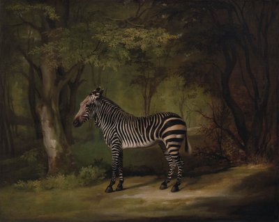 Zebra von George Stubbs