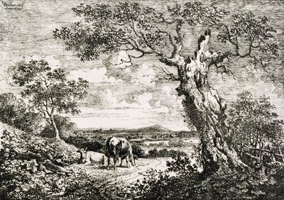 Zwei Kühe auf einer Wiese von George Walker