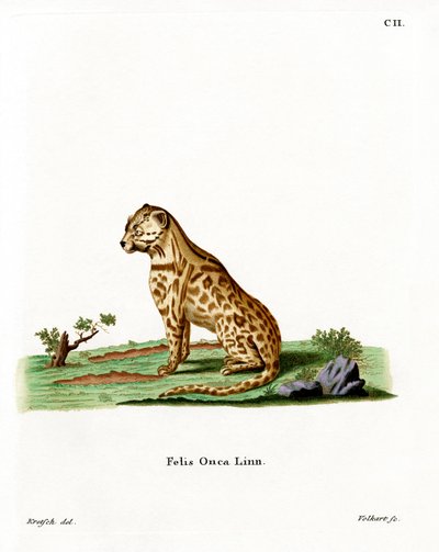Jaguar von German School