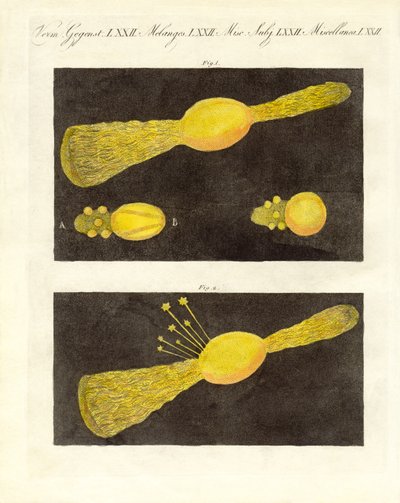 Meteor (Farbstich) von German School