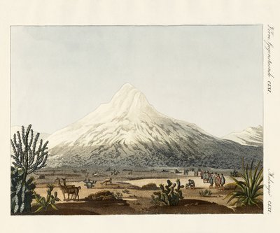 Der Chimborazo in Südamerika von German School