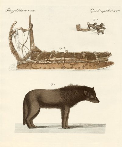 Der Hund der Baffin-Bucht von German School