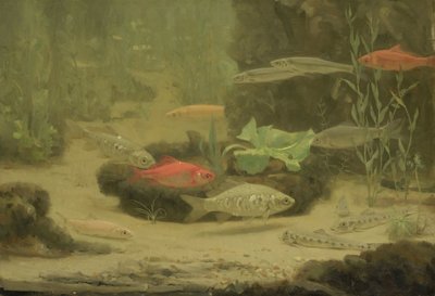 Gold- und Silberfische in einem Aquarium von Gerrit Willem Dijsselhof