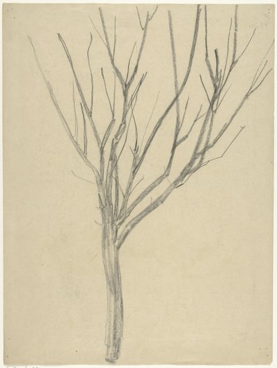 Kale Baum von Gerrit Willem Dijsselhof