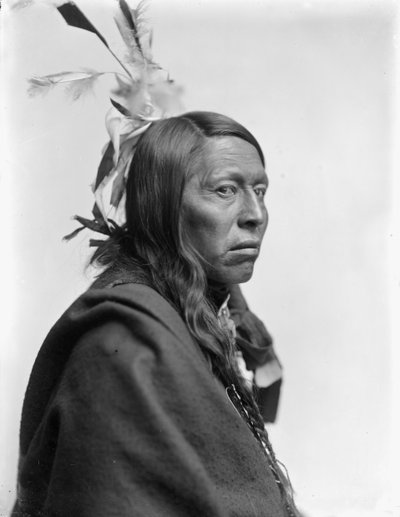 Sioux-Häuptling Flying Hawk, ca. 1900 von Gertrude Käsebier