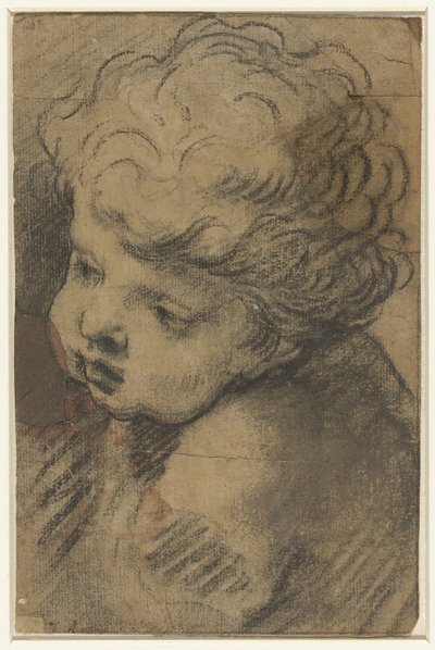 Kopf eines Putto von Giacomo Cavedone (attributed to)