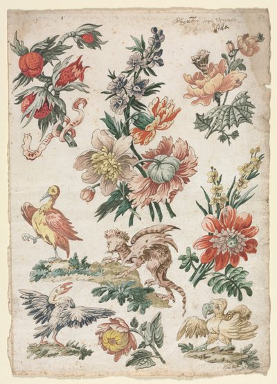 Florale Designs mit Vögeln und Greif von Giacomo Cavenezia