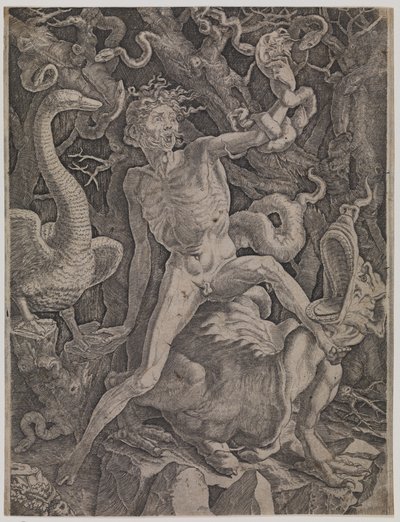Allegorie auf den Zorn von Gian Jacopo Caraglio