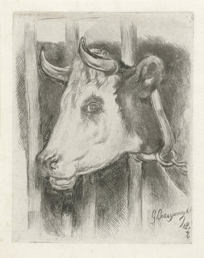 Kopf einer Kuh von Gijsbertus Craeyvanger