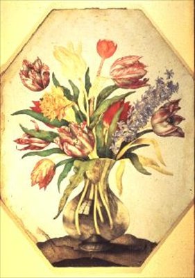 Glasvase mit Tulpen und einer Hyazinthe von Giovanna Garzoni