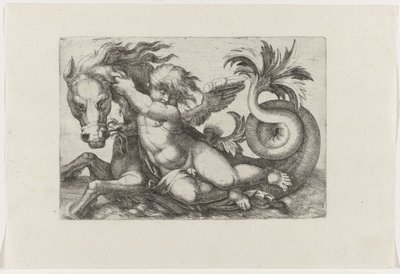 Putto reitet auf Seepferdchen von Giovanni Andrea Maglioli
