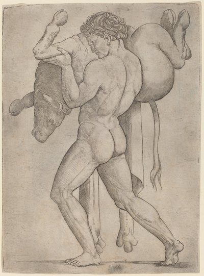 Herkules und der kretische Stier von Giovanni Antonio da Brescia